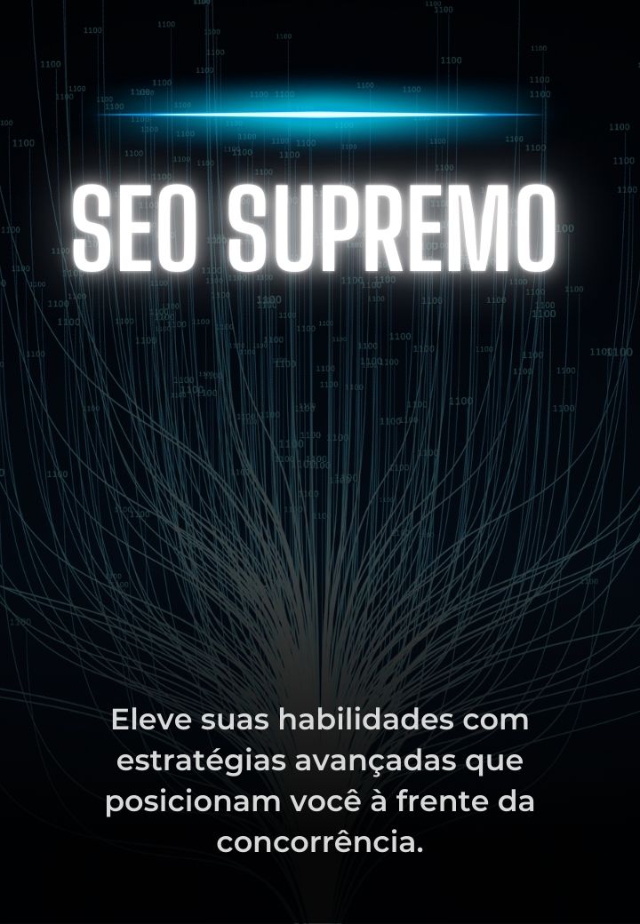 seo 11